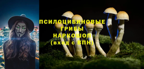 амф Надым