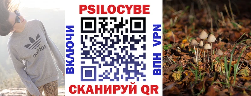 Купить  Ступино  Галлюциногенные грибы Psilocybe 